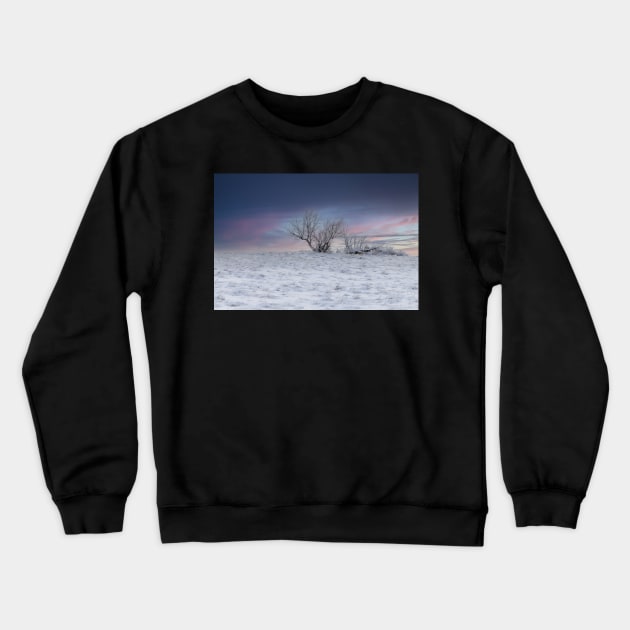 Grassland Crewneck Sweatshirt by gdb2